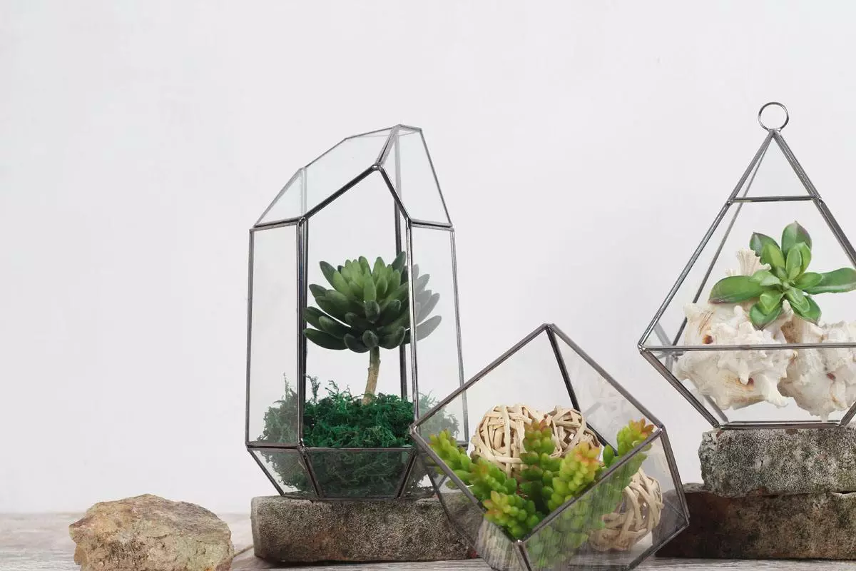 Pyramid Geometric Terrarium