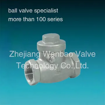 Stainless Steel Swing Check Valve dn100