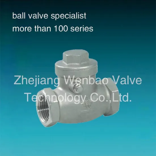 Stainless Steel Swing Check Valve dn100