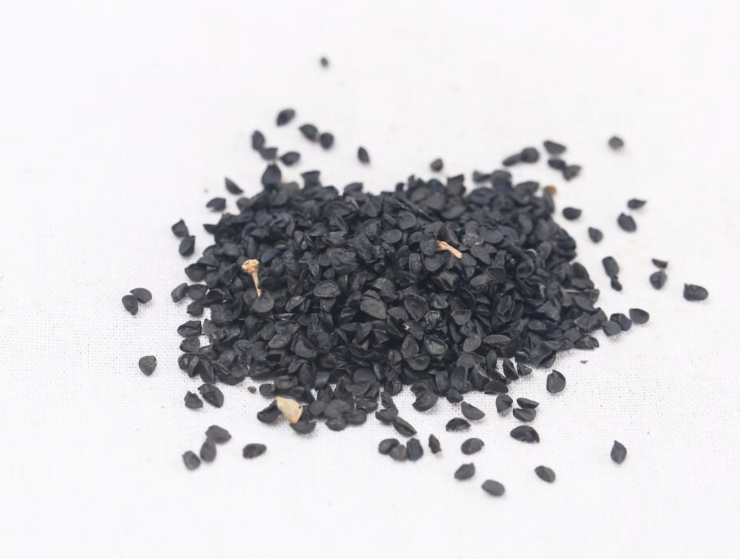 Allium Tuberosa Seed Extract