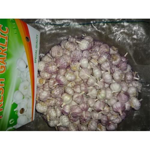 Sale 2019 Normal White Garlic