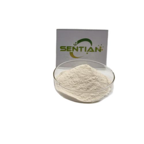 Microbial Rennet for cheese kluyveramises chymosin Rennet