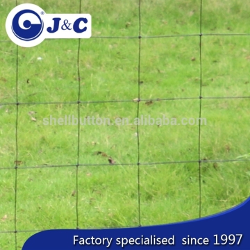 anti Bird protection netting use for vineyard, anti Bird protection net,PE agricultural bird netting