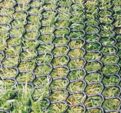 Glass Turf Reinforcement Plastic Netting Products