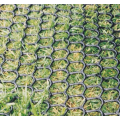 Produits de filet en plastique de renforcement de gazon de verre