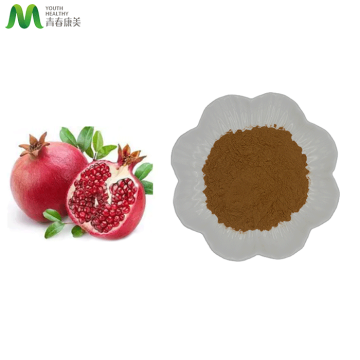 Pomegranate Peel Extract 40% Polyphenol Powder