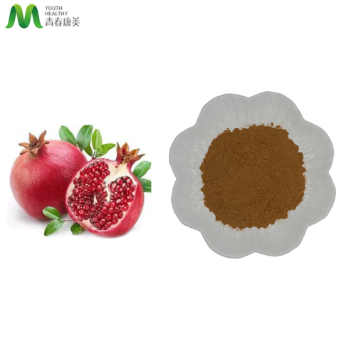 Man Health Raw Material Pomegranate Peel Extract 40% Polyphenol Powder Supplier