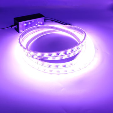 220V IP65 LED Strip Light: Curved High Brightness Dual Color Flexible Warm+Blue Strip Rope Light
