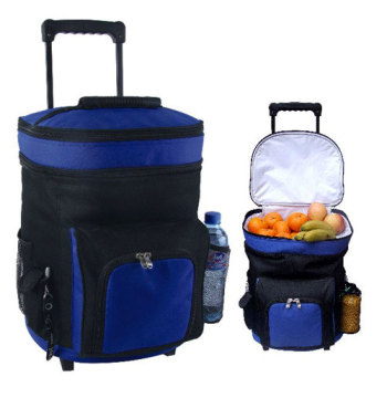 Trolley cooler bag