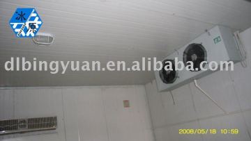 Freezing Room/Cold Storage For Meats,Fish,Fruits and Vegetables