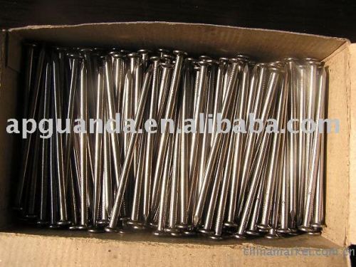 polish common wire nail(common round wire nails)