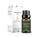 Essential Oil New Cosmetic 100% Pure Honeysuckle Oil