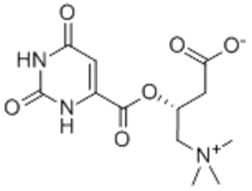 L-Carnitine orotate CAS 160468-17-7