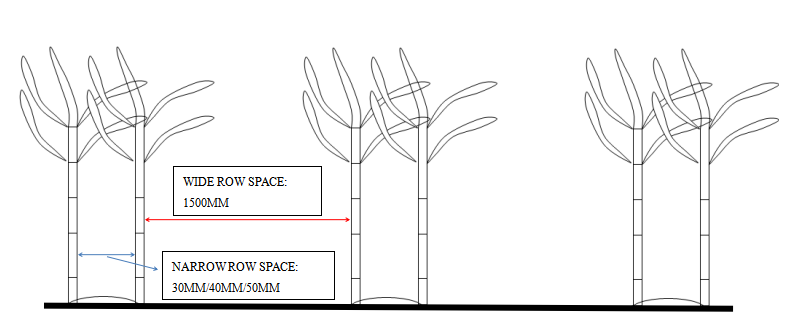 Planting rows-wide and narrow row space planting way