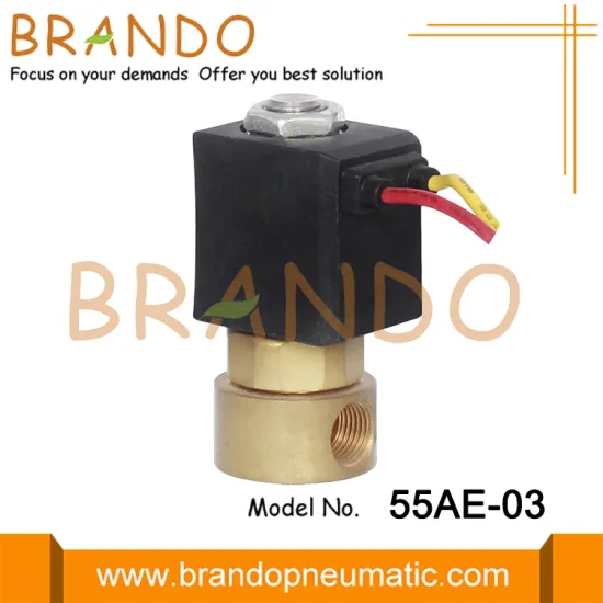 1/8'' Direct Acting Brass Solenoid Valve FKM Seal 220V