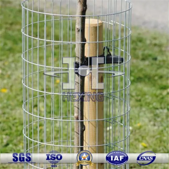 Welded wire mesh Tree guard roll