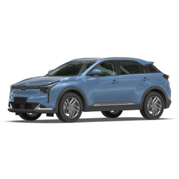 2024 China Neta U 5-Door 5-Seat SUV - 401KM Range Electric Vehicle