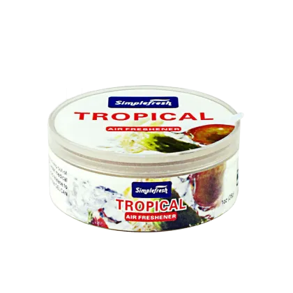 Freestanding Car Air Freshener