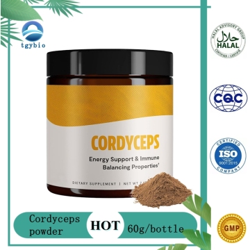 Poudre de champignons de Cordyceps de supplément de santé de paquet d'OEM pour l'extrait de Cordyceps de santé pulmonaire d'immunité