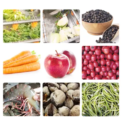 Multifunctional Bubble Vegetable and Fruit Cleaning Machine Industry