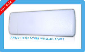 W106T Outdoor 1000mW High Power 300Mbps Wireless AP