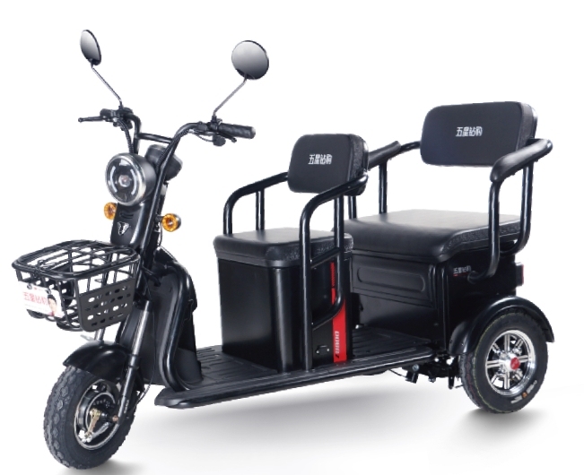 M4 (Leisure Electric Tricycle)