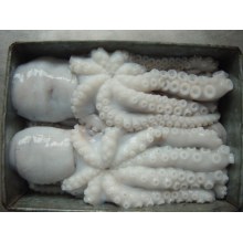 Осьминог -морепродукты Рыба высококачественных целых замороженных осьминог