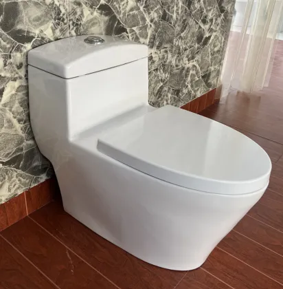 Affordable Integrated Siphon Small Toilet Options