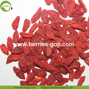 Factory Wholesale Natural Packing Wolfberry