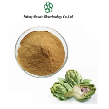 Premium Organic Artichoke Powder for Healthy Digestive Support and Detox