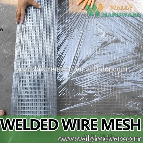 Free samples top selling the cheapest welded wire mesh