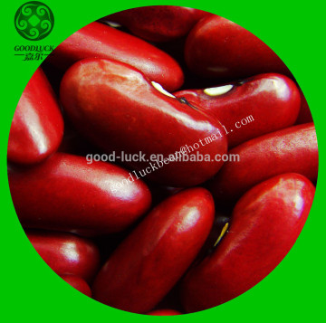 New Crop Red Kidney Beans Heilongjiang Origin