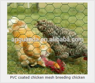 PVC Coated Chicken Wire, 13 - 75mm mesh, 0.6 - 1.6mm wire
