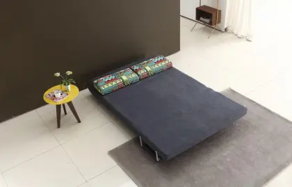 Youthful Vigor Style Multifunctional Sofa