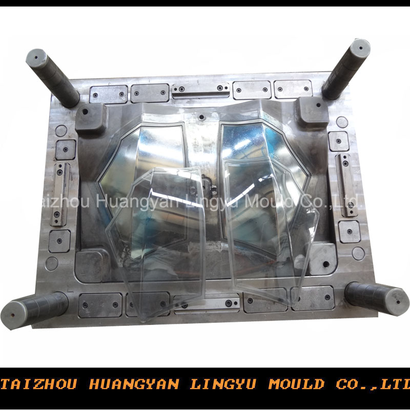 Plastic Autoparts Lamp Mould Maker (LY-131028)