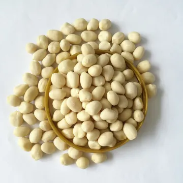 Shine skin blanched peanut kernels