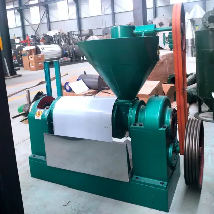 Hongyang Brand Sunflower Seeds Peanut Safflower Press Oil Making Machine YZYX95