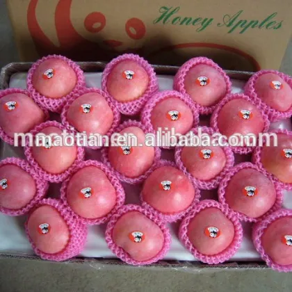 fruits containing vitamin d