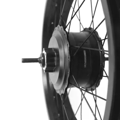 Electric Bike Snow Conversion Kit