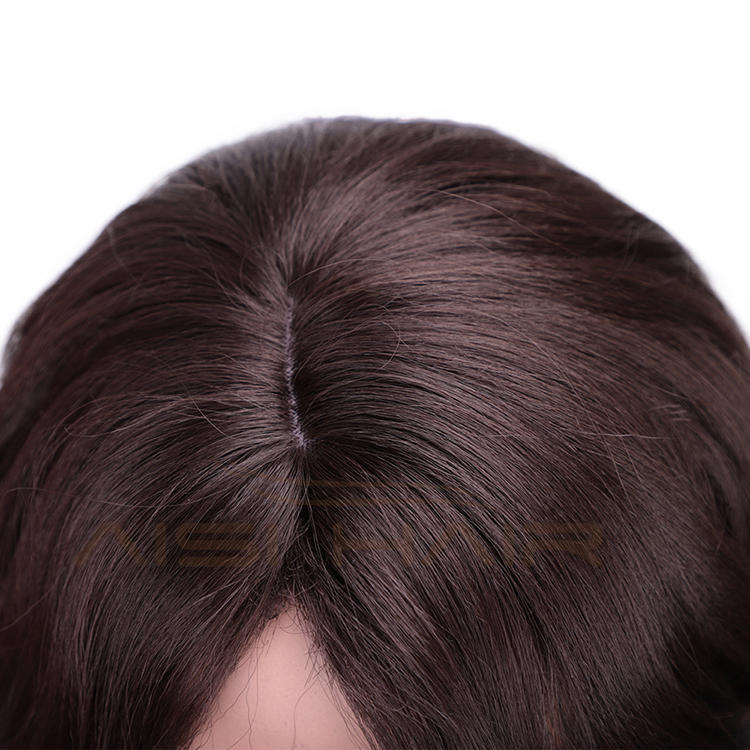 Aisi Hair Long Wavy Brown Synthetic Wig Heat Resistant Hair Body Wave Wig For Black White Women Fashion Cosplay Party Wigs