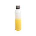 500ml doublewall SS two-color paint insulated water bottle