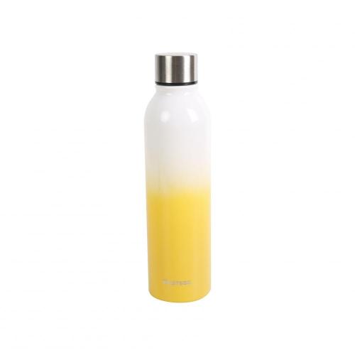 500 ml Doppelwall SS zweifarbige Farbe isoliertes Wasserflasche