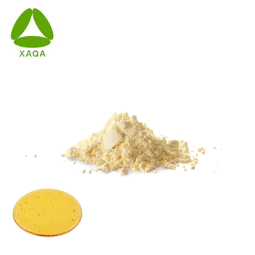 Freeze-Dried 10-HAD 6% Lyophilized Royal Jelly Honey Powder