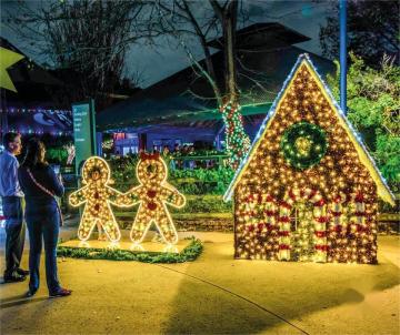 Customized Outdoor 3D House Motif Christmas Illuminated Decorations