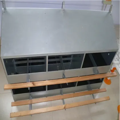 Smart Chicken Nest Box: Poultry Automatic Drinking System and Laying Nest