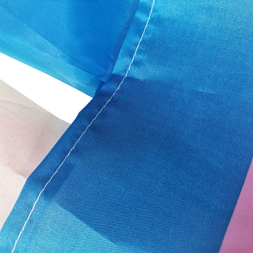 Anpassad utskrift Windsock Rainbow Pattern Gay Pride