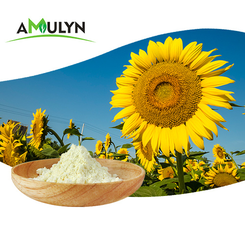 Sunflower Extract Lecithin Powder Phosphatidylcholine