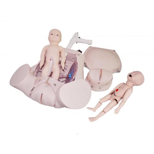 Single Breast Care Model Manual Rotation Delivery Demonstration Model Manufactory