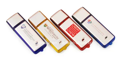Plastic USB Flash Drive Thumbdrive USB Flash Drive