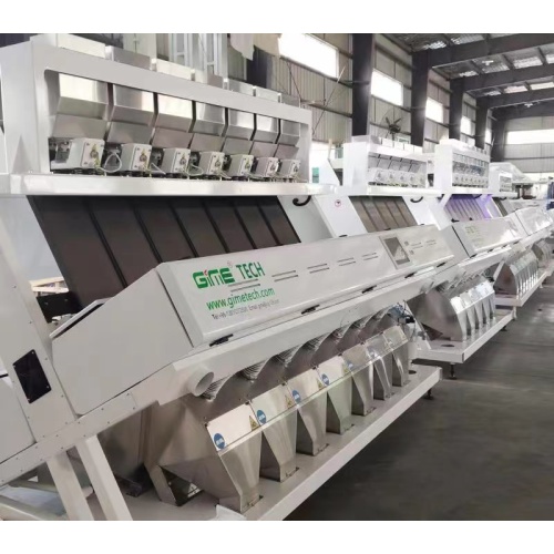 Sorter Machine per grano